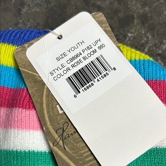 Carhartt Youth Multicolor Striped Beanie - Picture 2 of 6